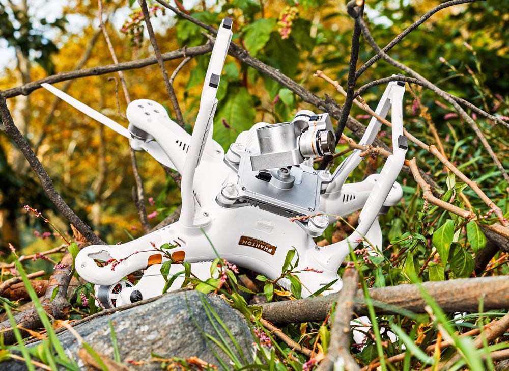 (Drone tersangkut di pohon dapat menimbulkan kerusakan / Gambar : PopularMechanics)