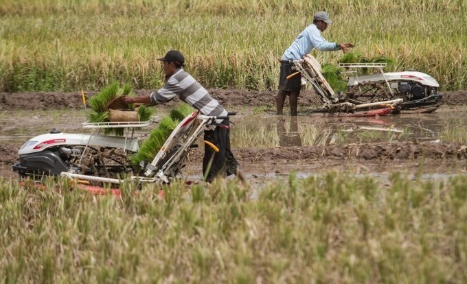 (Pertanian modern Indonesia yang mengalami banyak perubahan / Gambar : starfarm)