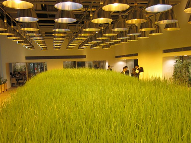 Teknologi Pertanian Jepang dengan Sistem Vertical Farming