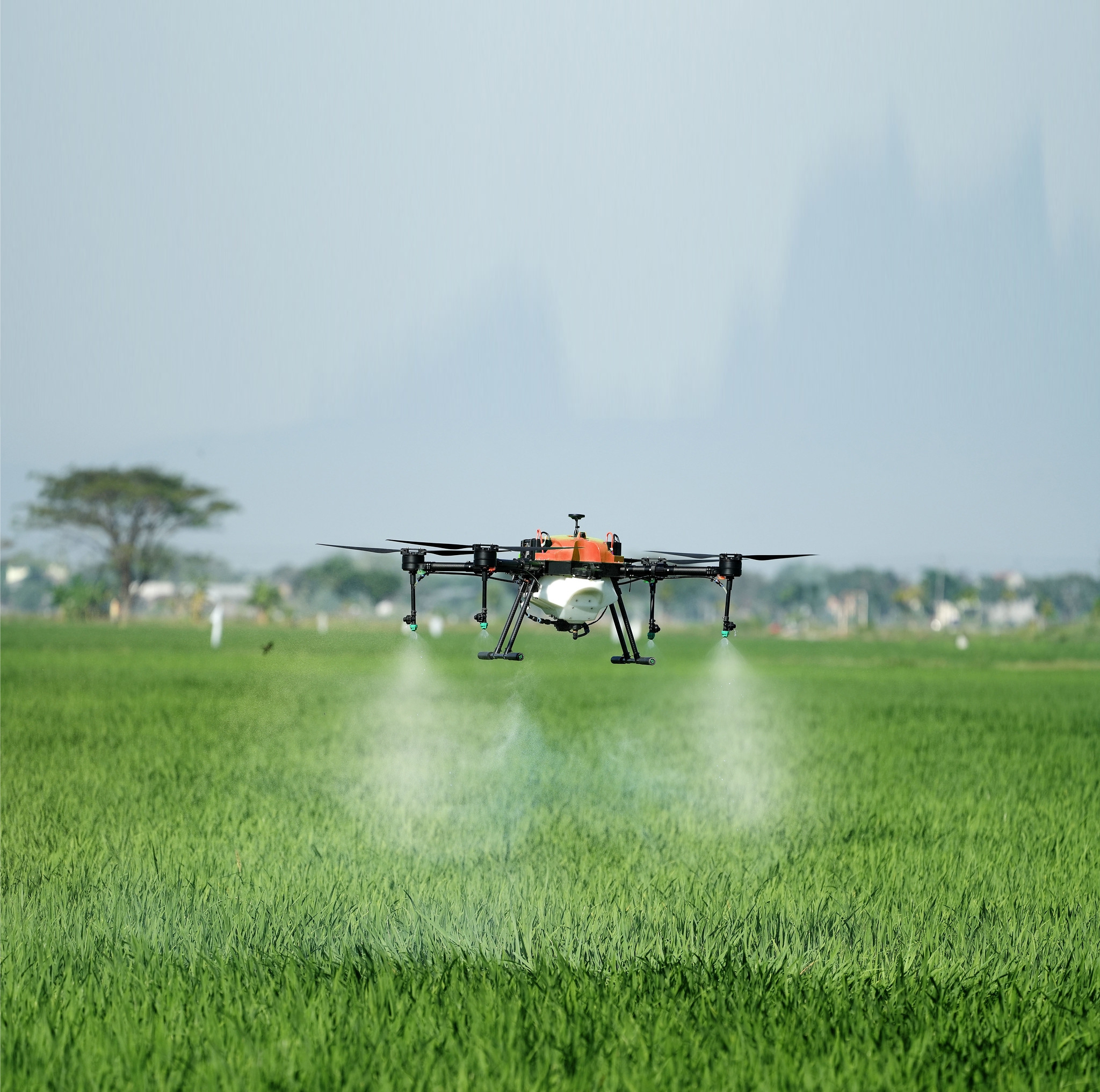 Drone Pertanian Presisi & Analisis NDVI