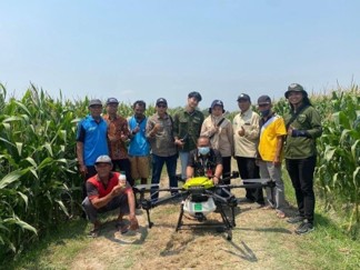 ampingan operasional drone pertanian bersama kelompok tani di lahan jagung