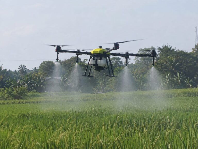 Drone pertanian sedang menyemprot tanaman padi untuk mendukung perawatan tanaman.